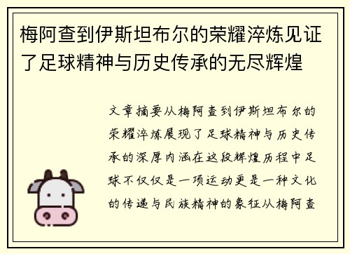 梅阿查到伊斯坦布尔的荣耀淬炼见证了足球精神与历史传承的无尽辉煌